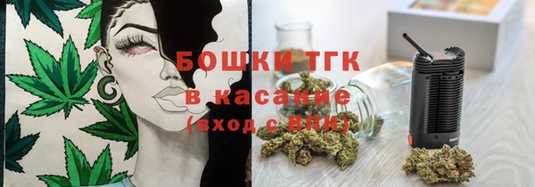 прущие грибы Вяземский