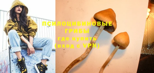 прущие грибы Вяземский