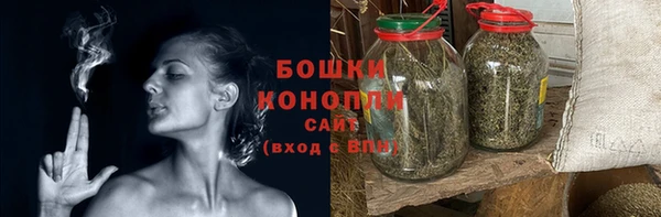 прущие грибы Вяземский