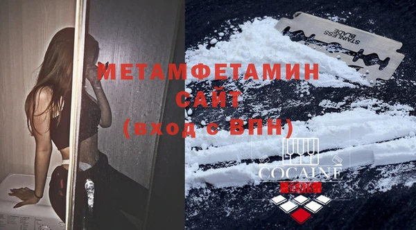 прущие грибы Вяземский