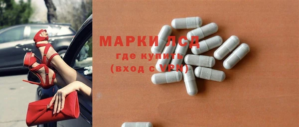 прущие грибы Вяземский