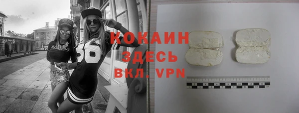 прущие грибы Вяземский
