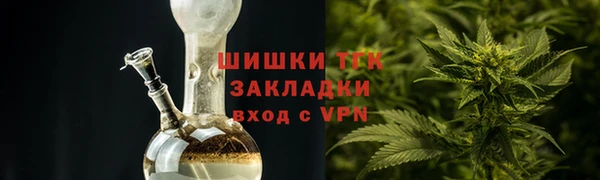 прущие грибы Вяземский