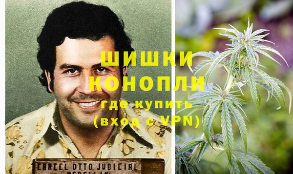 прущие грибы Вяземский