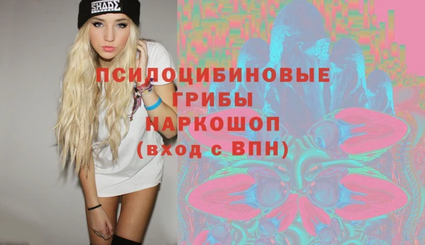 прущие грибы Вяземский