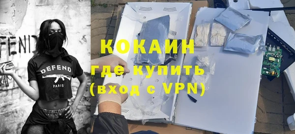 прущие грибы Вяземский