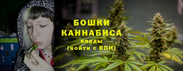 прущие грибы Вяземский