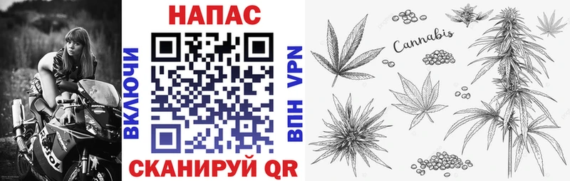 МАРИХУАНА семена  Купить где  Палласовка 